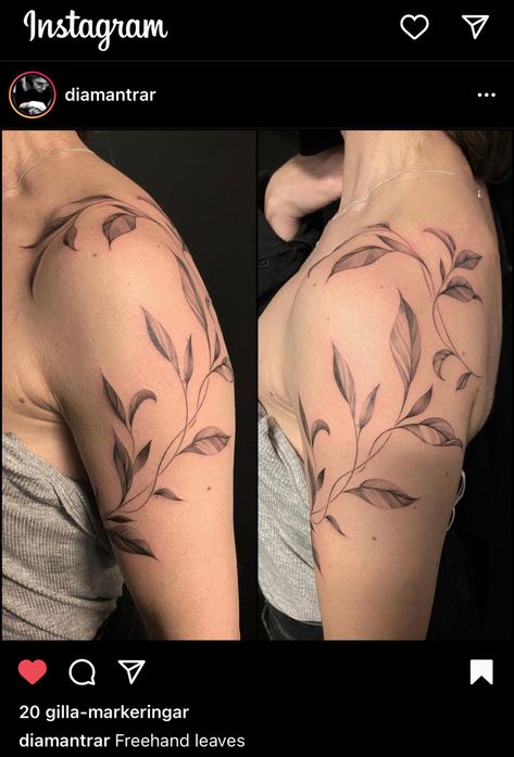 Leaf Tattoos For Women On Arm, Leaves Sleeve Tattoos For Women, Types Of Leaves Tattoo, Shoulder Branch Tattoo, Upper Arm And Shoulder Tattoo, Leaves Shoulder Tattoos For Women, Olive Branch Tattoo Shoulder Wrap, Shoulder Leaf Tattoos For Women, Leafy Shoulder Tattoo