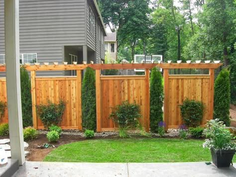 Fence In Front Of Hedge, Landscape Ideas For Fence Corners, Fence To Block Neighbors, Picket Fence Alternative, Narrow Space Between Houses Side Yards, Landscaping For Privacy Between Houses, Top Of Fence Privacy Ideas, No Fence Privacy Ideas, How To Hide An Ugly Fence