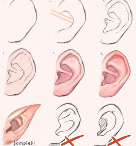 How To Draw Ears, Otto Schmidt, Drawing Hair Tutorial, Digital Painting Tutorials, Anime Drawings Tutorials, Anatomy Art, Art Tutorials Drawing, Digital Art Tutorial, Drawing Tips