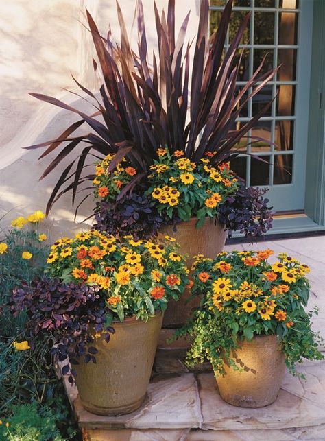 Stunning Container Gardening Ideas Fall Container Gardens, Fall Planters, Garden Containers, Low Maintenance Plants, Container Flowers, Autumn Garden, Lawn And Garden, Container Plants, Outdoor Plants