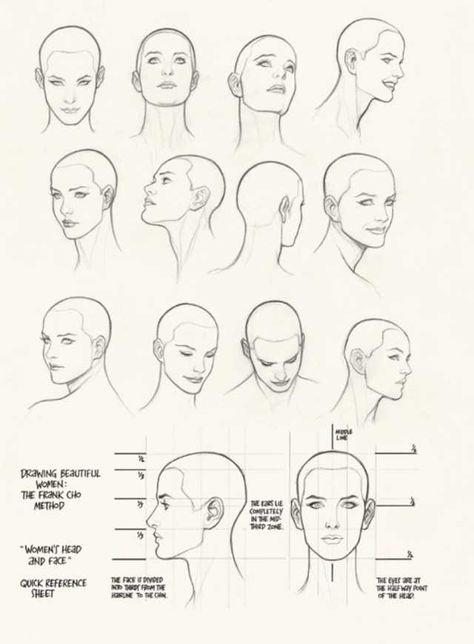 Imgur Post - Imgur Women Head Drawing, Feminine Face Drawing, Female Face Structure, Head Structure Drawing, Frank Cho Women, Frank Cho Art, Different Facial Expressions, Face Angles, Female Face Drawing