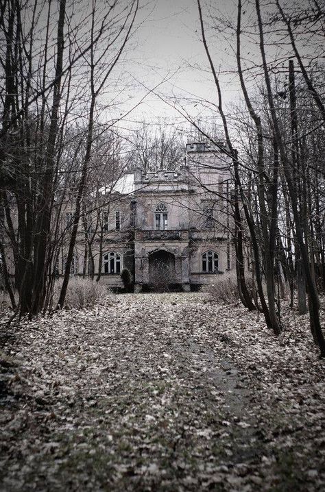 Twardowski Palace in Cisie-Zagrudzie (Poland) Photography by Sylwia W. Source: http://500px.com/photo/46703764 Mansion Homes, Abandoned Homes, Creepy Houses, Abandoned Mansion, Old Abandoned Houses, Forgotten Places, Spooky Places, Old Mansions, Abandoned Castles