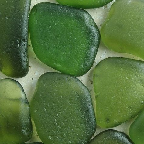 Olive green genuine sea/beach glass pieces. These sea glass pieces are  from along the rugged shores of the Pacific Ocean Glass Circle, Green Glasses, Green Circle, Mermaid Tears, Green Beach, Glass Inspiration, Glass Beach, Sea Glass Beach, Green Mermaid