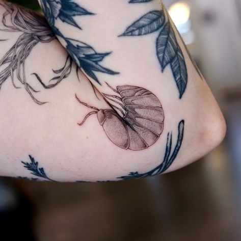 Tattoo bucket list item: ✔️ Thank you Bo, for asking me to tattoo this lil roly poly guy! Now I want one 🙃 🍥 🎯 🎱 #tattoo #tattoideas #finelinetattoo#portlandtattoo #portlandtattooartist #birdhousetattoo #rolypoly #rolypolytattoo #pillbugtattoo Woodlouse Tattoo, Rollie Pollie Tattoo, Roly Poly Tattoo, Rolly Polly Tattoo, Poly Tattoo, One Tattoo, Bug Tattoo, Roly Poly, Fine Line Tattoos