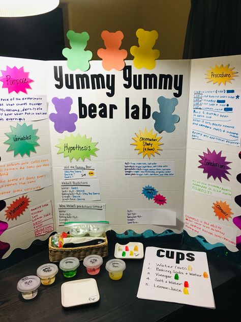 Yummy Gummy Bear Lab Yummy Gummy Bear Lab Science Projects, Gummy Bear Science Project Board, Science Fair Projects Gummy Bears, Science Fair Project For 1st Grade, Gum Science Fair Projects, Science Projects For Science Fair, Growing Gummy Bears Science Fair Project, Gummy Bear Science Fair Project Board, Gummy Bear Experiment For Kids