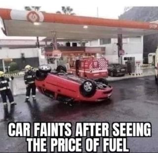 Found on America’s best pics and videos Man Shed, Driving Car, Car Memes, Auto Repair Shop, Gas Prices, Funny As Hell, Morning Humor, Car Guys, After Dark