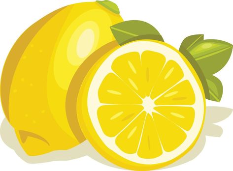 Lemon Vector, Transparent Png, Png Images, Vector Art, Print On Demand, Vector Images, Vector Free, Vector Illustration, Illustrator