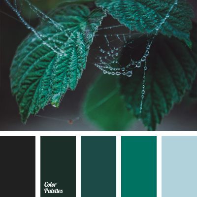 If you are looking for a monochrome colour combination that will suit well a design in a style of ”grunge", this colour palette will be perfect. The combin. Teal Lilac Color Palette, Today's Inspiration, Author Platform, Palette Design, Color Schemes Colour Palettes, Green Color Schemes, Monochrome Color, Green Colour Palette, Color Palate