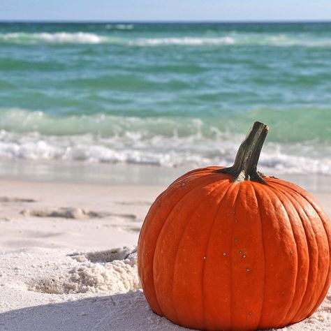 Changing weather shows off the beach area in a whole different light. Florida Humor, Fall At The Beach, Coastal Halloween, Coastal Autumn, Florida Fall, Candy Corn Crafts, Coastal Fall, Vintage Halloween Images, Fall Beach