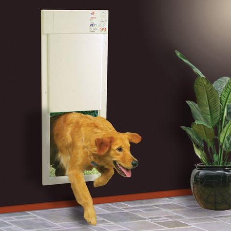 9 Best Dog Tech Devices Pet Owners Love - Top Dog Tips Automatic Dog Door, Best Dog Door, Pet Doors, Pet Door, Dog Rooms, Cat Door, Dog Door, Wall Installation, Dog Pin