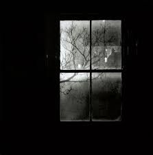 Window Shadow, Horror Vacui, Night Window, Window Photography, Creepy Backgrounds, Dark Windows, Night Shadow, Shadow Art, Window Art