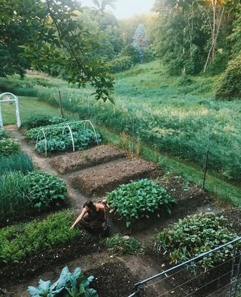 Aesthetic Garden, Garden Aesthetic, Backyard Retreat, Vegetable Garden Design, Food Garden, Ideas Garden, Easy Garden, Garden Layout, Veggie Garden