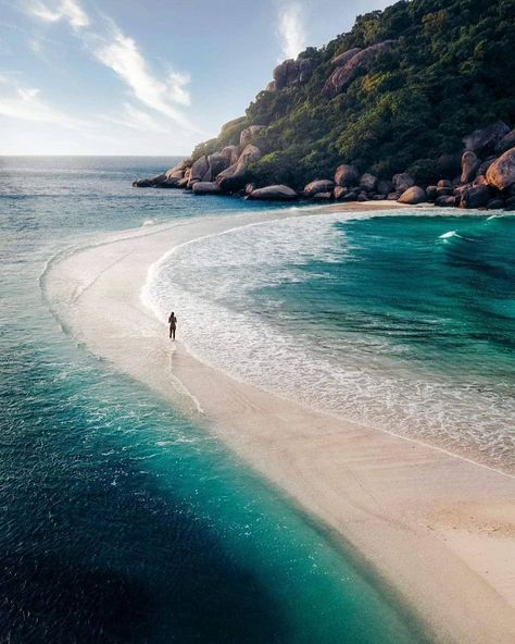 Travel | Explore | Adventure shared a post on Instagram: “Koh Tao is an island in the south of Thailand, it is known for the cheap PADI which is a diving…” • Follow their account to see 857 posts. Freedom Beach, Surat Thani, Amazing Places On Earth, Nature Hikes, Unique Experiences, Nature View, Destination Voyage, Ancient City, Island Getaway