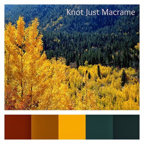 Fall color palette aspens and evergreen trees Fall Color Pallet, Kitchen Design Color, Brown Color Schemes, Brown Kitchen, Kitchen Colour Schemes, Kitchen Paint Colors, Fall Color Palette, Bedroom Color Schemes, Paint Palette