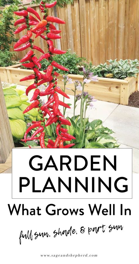 Beginners Garden, Vegetable Garden Planner, Organic Vegetable Garden, Garden Planner, Garden Types, Home Vegetable Garden, Organic Gardening Tips, Garden Pests, Planting Vegetables