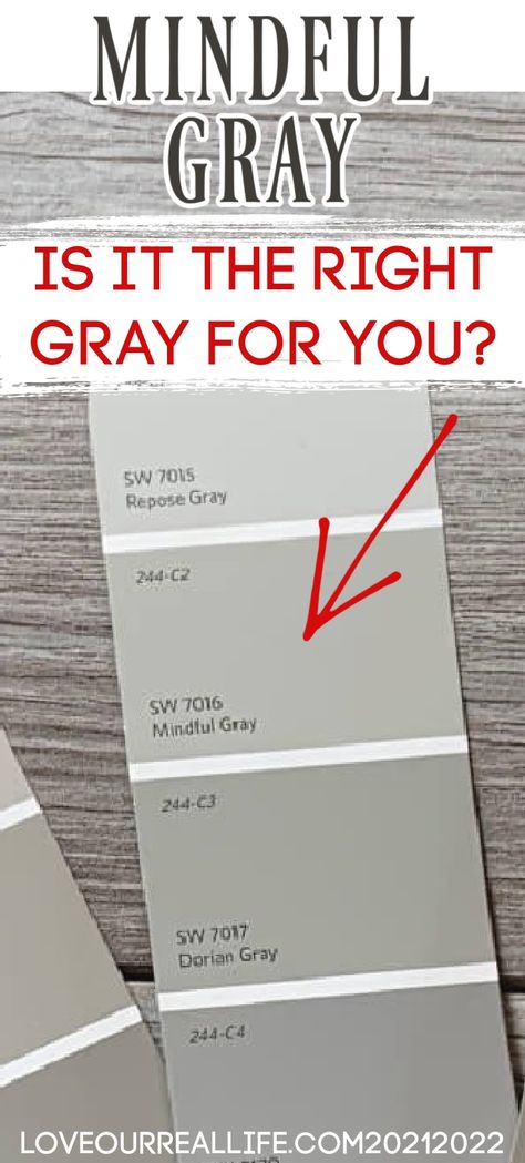 Sw 7016 Mindful Gray, Sherwin Williams Mindful Gray, Repose Gray Paint, Sherman Williams Paint, Sw Repose Gray, Neutral Gray Paint, Mindful Gray Sherwin Williams, Perfect Greige, Exterior Gray Paint