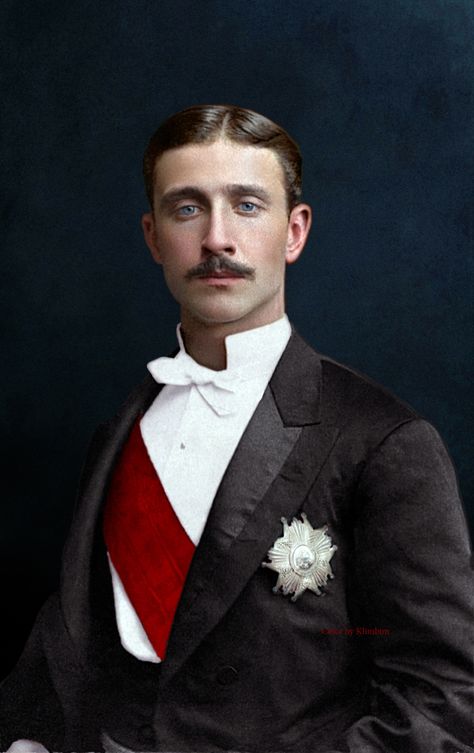 Prince Louis Napoleon Bonaparte, 1878 klimbim20149 Sep 2015European Royal Houses Formal Menswear, Masculine Elegance, French Royalty, Prince Louis, Napoleon Bonaparte, San Michele, Napoleon Iii, Royal House, Vintage Portraits