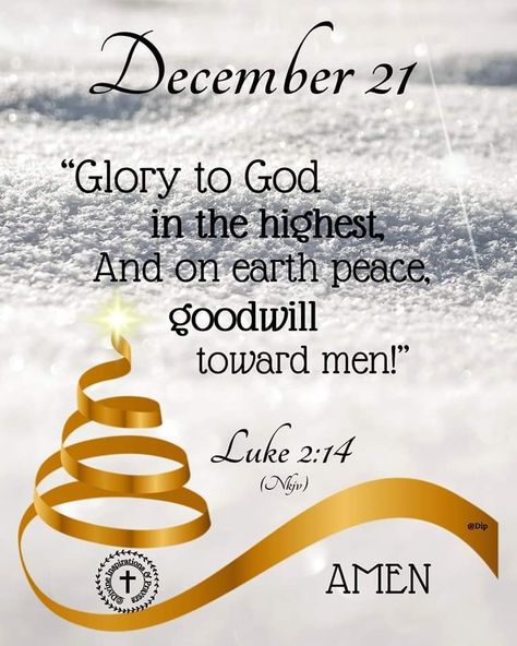 December Scriptures, Christmas Scripture, Merry Christmas Quotes, Bible Study Notebook, Good Morning God Quotes, Christmas Feeling, Jesus Bible, Daily Scripture, Good Night Messages