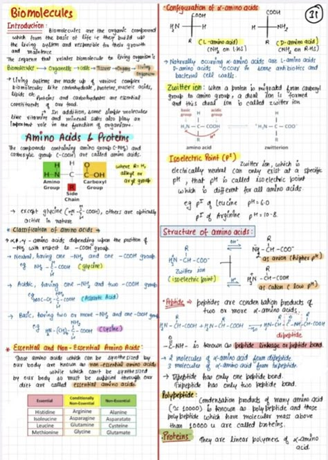 Biomolecules Class 12 Mind Map, Bio Molecules Notes, Biomolecules Notes Chemistry Class 12, Jee Aspirants Room, Biomolecules Notes Chemistry, Chemistry Formula Sheet, Inorganic Chemistry Notes, Bio Molecules, Biochemistry Aesthetic