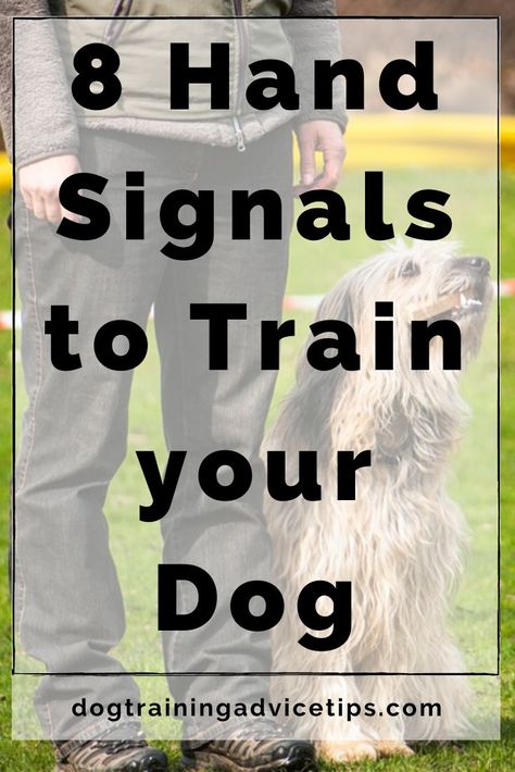 Dog Training Hand Signals, Dog Commands, Dog Behavior Training, Dog Behavior Problems, Cairn Terriers, Hand Signals, Dog Training Advice, Puppy Training Tips, Dog Training Videos