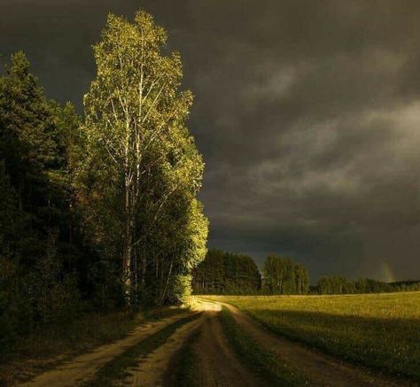 Odaiba, Dark Clouds, Dark Sky, Dirt Road, Storm Clouds, Nature Aesthetic, Pretty Places, Scenery Wallpaper, Fantasy Landscape