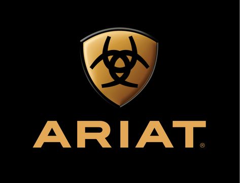 The Ariat equestrian brand is synonymous with premium quality horse riding apparel and footwear. Ariat Belts, Ariat Logo, Love Pink Wallpaper, Work Belt, Ariat Boots, Crystal Belt, Digital Camo, Scroll Pattern, George Strait