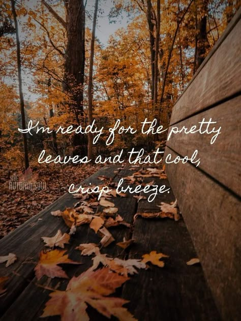 Augtober Quotes, Waiting For Fall Quotes, Autumn Vibes Quotes, Fall Quotes Aesthetic, Fall Quotes And Sayings, Neuer Monat, Fall Mood Board, Favourite Season, Pretty Leaf