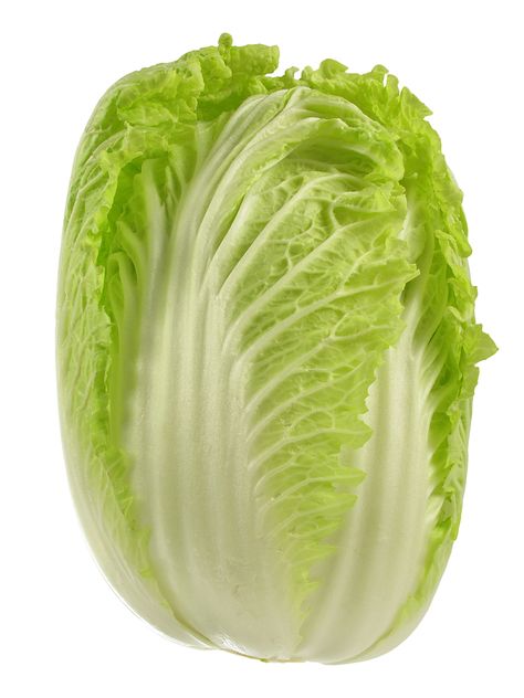 Cabbage Napa Cabbage Health Benefits, Growing Spinach, Tips For Cooking, Vegetable Pictures, Cabbage Worms, Asian Vegetables, Paper Pot, Chinese Cabbage, Napa Cabbage