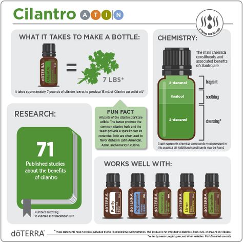 Cilantro essential oil does far more than add its signature fresh and herbal flavor to food—it also offers benefits to the digestive, immune, and nervous systems.* Doterra Basil, Cilantro Oil, Benefits Of Essential Oils, Basil Essential Oil, Thyme Essential Oil, Essential Oil Education, Essential Oil Companies, Doterra Essential Oils Recipes, Basil Oil