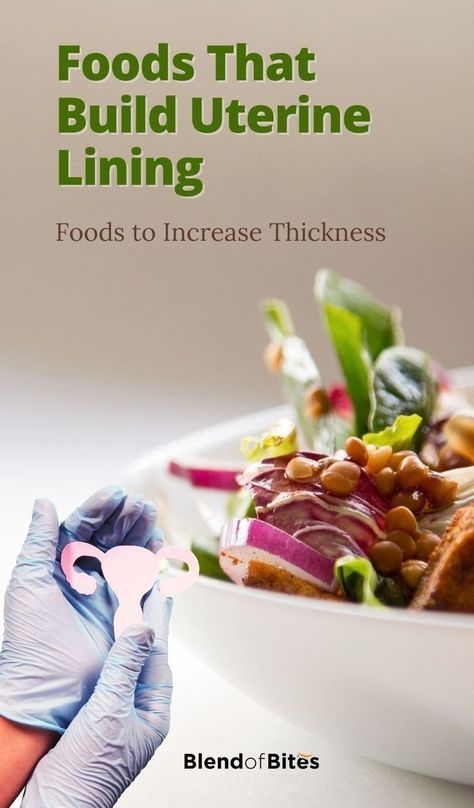 Uterus Lining Thicken, Uterine Lining Thickening, How To Thicken Uterine Lining, Endometrial Thickness, Thicken Uterine Lining, Healthy Uterus, Fibroid Diet, Healthy Period, Types Of Beans