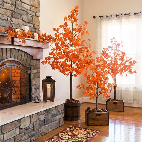 Indoor / Outdoor Lighted Maple Trees Casa Halloween, Fall Living Room Decor, Maple Trees, Fall Living Room, Halloween Tattoo, Fall Thanksgiving Decor, Autumn Decorating, Creative Challenge, Maple Tree