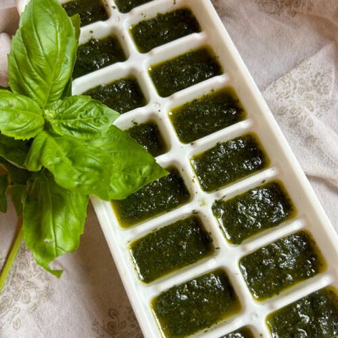 How to Preserve Basil in Olive Oil - JAYNE'S FARMSTEAD Basil In Olive Oil, How To Preserve Basil, Preserving Basil, Making Sauerkraut, Basil Olive Oil, Penne Alla Vodka, Alla Vodka, Milk Kefir, Small Mason Jars