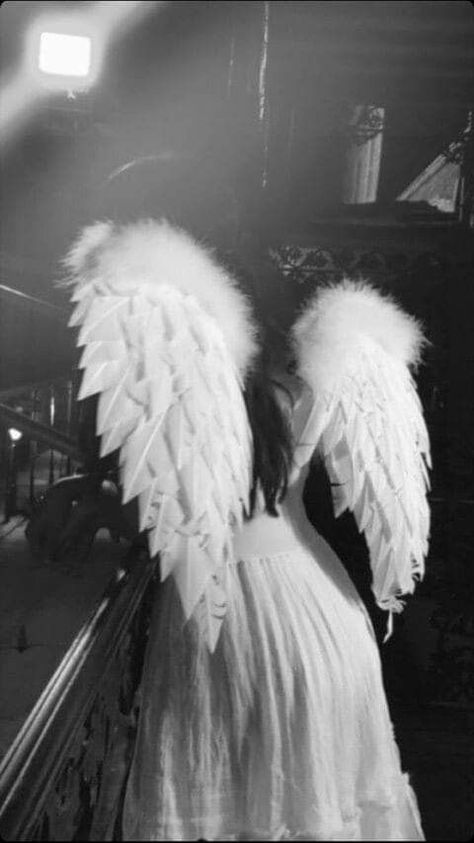 #fashion #aesthetic #wings An Angel, Angel Wings, A Woman, Angel, Black And White, White, Black