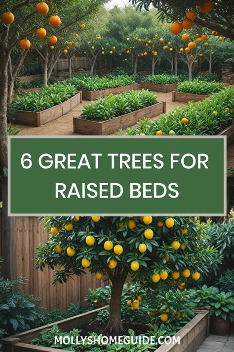 Discover the top trees ideal for your raised garden beds with our comprehensive guide. Learn about the best trees for raised beds and how they can enhance your landscaping. Find solutions for exposed tree roots in raised beds and explore different fruit tree options perfect for a raised bed garden. Elevate your outdoor space with creative ideas on landscaping around raised beds. Raised Garden Bed Around Tree, Backyard With Garden Raised Beds, Vegetables In Raised Garden Beds, Raised Garden Beds With Trees, Fruit Trees In Raised Beds, Backyard Raised Beds, Raised Beds Around Trees, Trees In Raised Beds, Step Over Fruit Trees