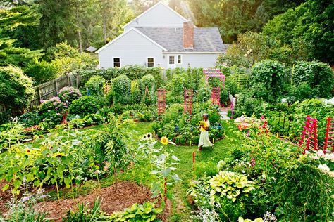 What Is a Permaculture Garden? Plus 12 Tips for Planting Your Own Permaculture Backyard, Permaculture Garden, Growing Garden, Composting At Home, Sensory Garden, Gardening Trends, Permaculture Gardening, Permaculture Design, Garden Help