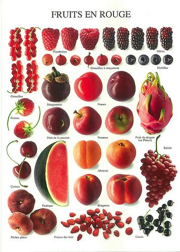 PHC 2598 - Fruits en rouge - Nouvelles Images Fruits And Vegetables List, Fruit Names, Fruit Art Print, Food Charts, Exotic Fruit, Food Facts, Red Fruit, Fruit Art, French Food