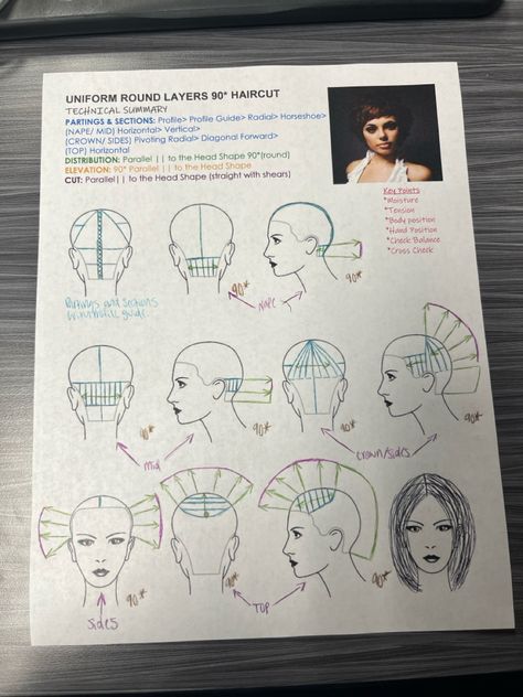 Cosmetology Tips, Hair Sectioning Diagram, Hair Structure Diagram, Cosmetology Exam Study Guides, Hair School Cosmetology, Levels Of Hair Color, Skillsusa Cosmetology, Beauty School Cosmetology, Colour Wheel Theory