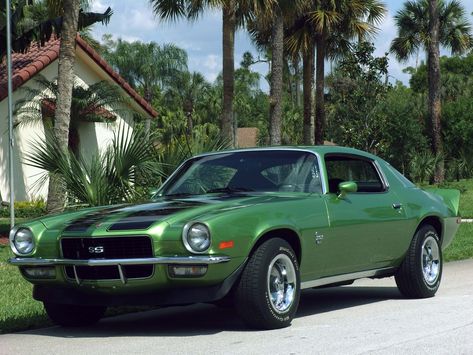 72 Camaro, 1971 Camaro, Green Demon, 1972 Camaro, Badass Car, Z28 Camaro, Cars Camaro, 70 Camaro, Chevrolet Camaro 1970