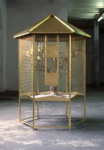 Canary Cage Canary Singing, Canary Cage, Open Gazebo, Bird Cages For Sale, Birds Cage, Bird Cage Design, Cage Table, Cage Decor, Large Gazebo