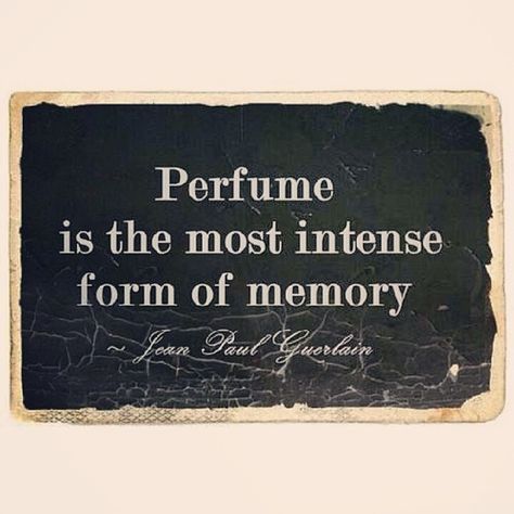 perfume. Parfum Quotes, Fragrance Quote, Perfume Quotes, Memories Quotes, Fashion Quotes, Story Instagram, Women Perfume, Old Money, Words Quotes