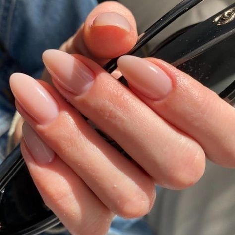 Nude Pedicure, Gel French Manicure, Nails Short Almond, Gel Acrylic Nails, Press On Nails Short, Casual Nails, Short Almond, Nails For Women, روتين العناية بالبشرة