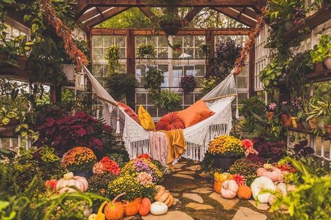 Now this is a Cozy Hammock Sunday!! 🧡💛❤️ Beautiful greenhouse by @vaughanhousegreenhouse —————————————— 👉🏼Follow us @ez_leaf 🌿Follow us… Portraits Pastel, Victoria Magazine, Backyard Greenhouse, Greenhouse Gardening, Room With Plants, Plants And Flowers, Futurism, Greenhouses, Dream Rooms