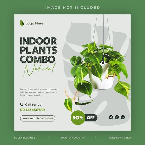 Gardening Poster Design, Social Banner Design, Plant Instagram Post, Plant Poster Design, Gardening Logo, Plants Poster, Shop Banner Design, Teaching Graphic Design, Speculative Design