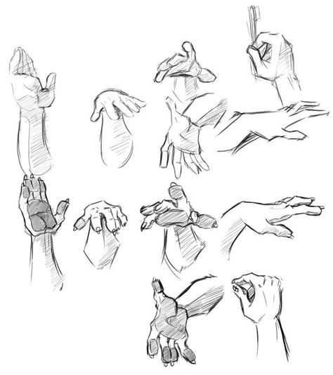 Anthro Hands, Monday Post, Paw Drawing, Big Hands, Reference Page, Hand Gestures, Hand Drawing Reference, Female Reference, Body Reference Drawing