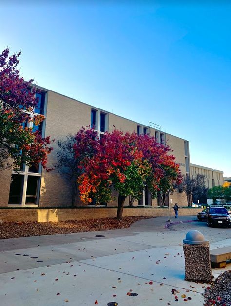 Texas A&M University, TAMU, college campus, college aesthetic, fall vibes Aesthetic Fall Vibes, Campus Aesthetic, College List, Texas Aggies, College Aesthetic, Texas A M University, Aesthetic Fall, College Campus, Texas A&m