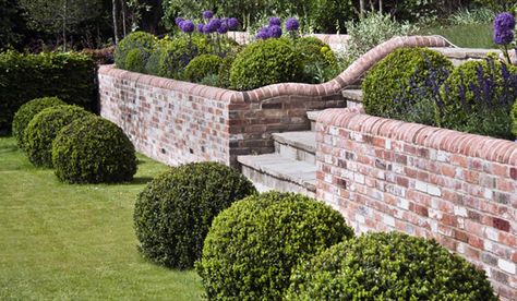 Saffron Garden, Small Garden Wall Ideas, Brick Wall Gardens, Garden Ideas Uk, Retaining Wall Design, Garden Wall Designs, Garden Walls, Brick Garden, Front Garden Design