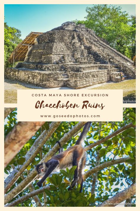 Chacchoben Mayan Ruins, Packing For Alaska, Mayan People, Costa Maya, Western Caribbean, Archaeological Discoveries, Quintana Roo, Mayan Ruins, Cruise Port