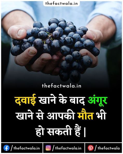 Best Facts In Hindi, Fact About Food In Hindi, Amazing Facts About Food In Hindi, Today Facts In Hindi, Food Facts In Hindi, Unbelievable Facts Hindi New, Today New Fact In Hindi, Amazing Facts For Students In Hindi, Psychology Fact Hindi