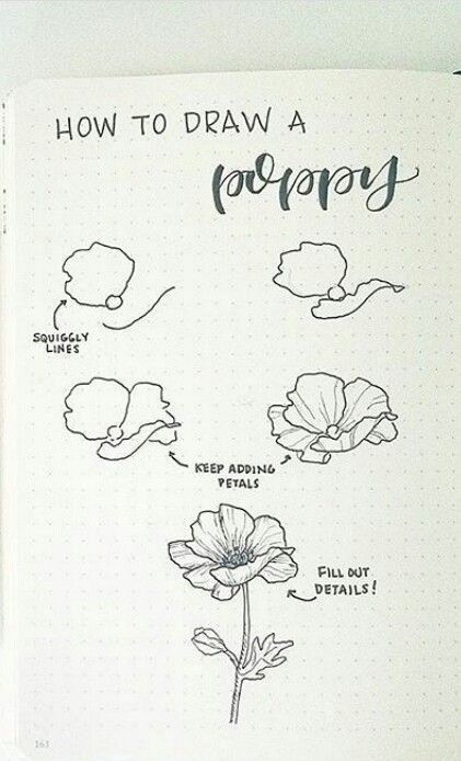 How to draw flowers Flower Sketches Tutorial, How To Draw Botanicals Step By Step, Flower Sketches Simple Step By Step, Flower Sketch Step By Step, Botanical Drawings Tutorial, How To Draw Flowers Step By Step Simple, Flower Tutorial Drawing, How To Draw A Flower, How To Draw Flowers Step By Step