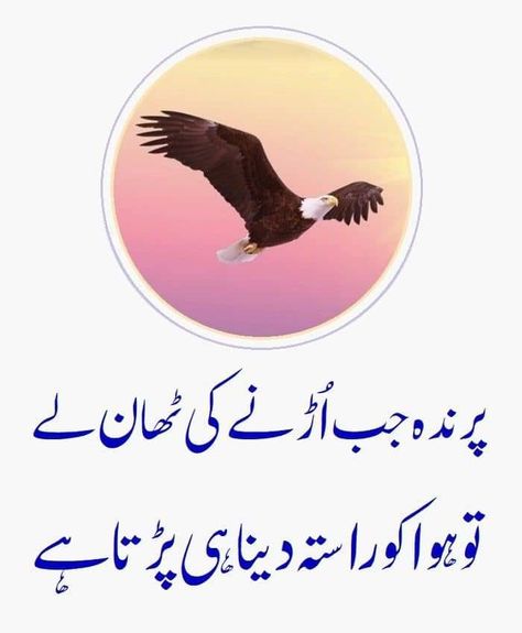 Kamiyabi Quotes Urdu, Gems Quotes, Iqbal Quotes, Sabar Quotes, Islamic Dp, Welcome Images, Achi Batain, Dream Motivation, Qur'an Photography